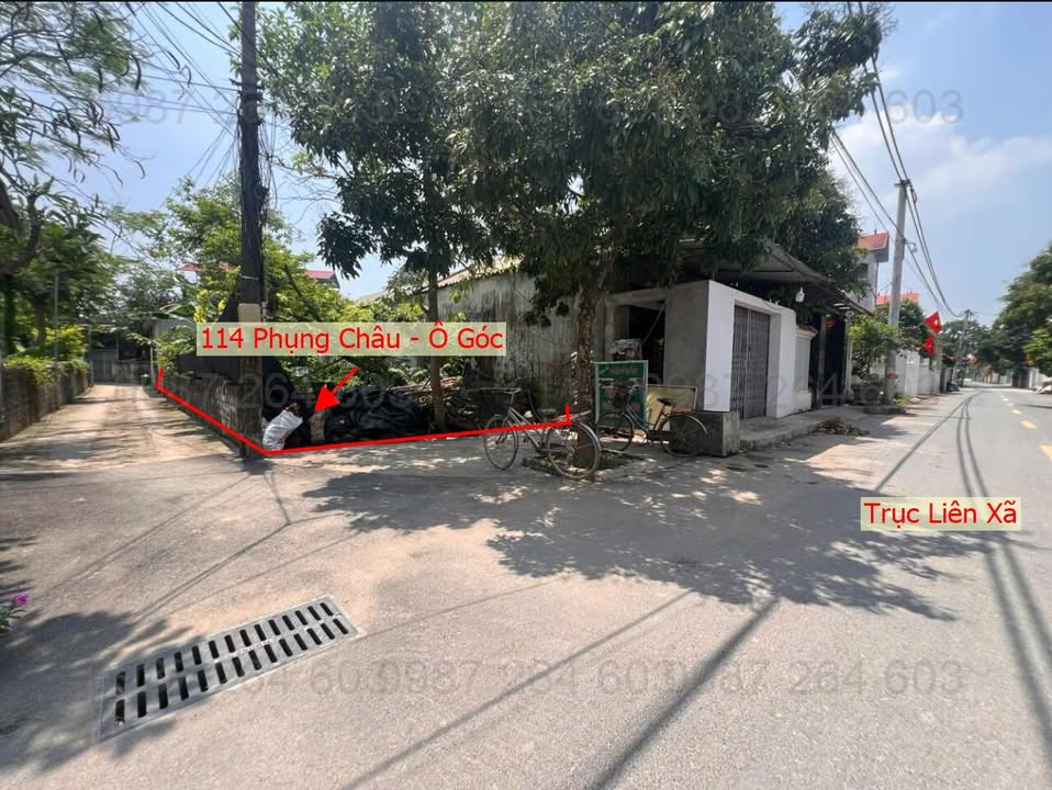 Đất thổ cư Phụng Châu Chương Mỹ 114m² - Mặt đường kinh doanh sầm uất!