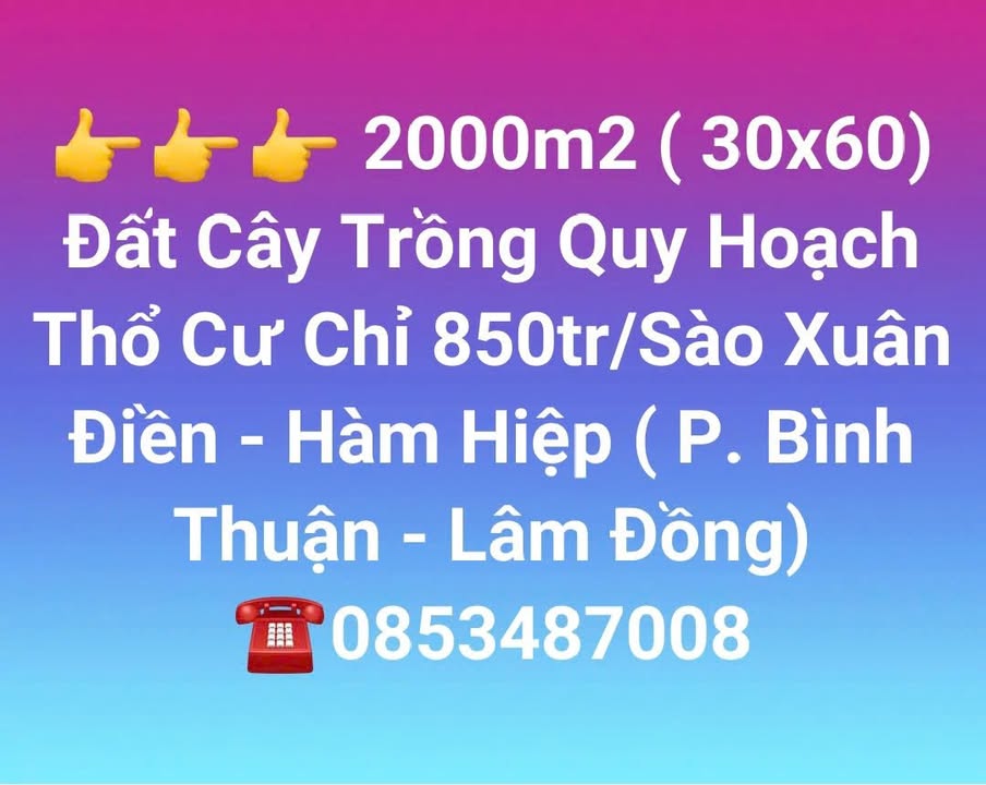 Đất Cây Trồng Xuân Điền 2000m² giá chỉ 850 triệu - Cơ hội đầu tư hấp dẫn!