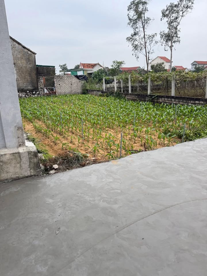 Đất nền Quỳnh Bảng 125m² giá chỉ thỏa thuận - Vị trí đắc địa gần trung tâm!