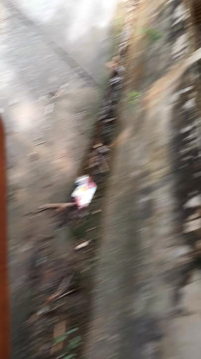 Đất mặt tiền xã Sơn Phú, Bến Tre 375m² - Giá chỉ 2 tỷ, thương lượng ngay!