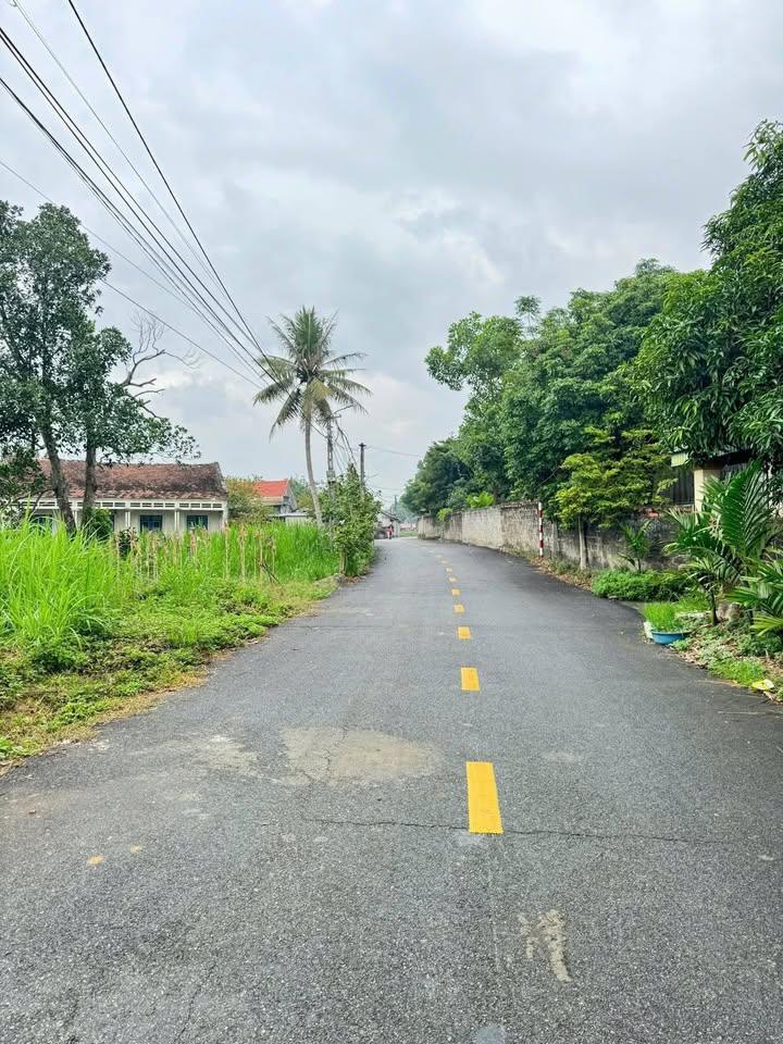 Đất nền tại xã Tam Sơn, Sông Lô 210m² - Cơ hội đầu tư tuyệt vời!