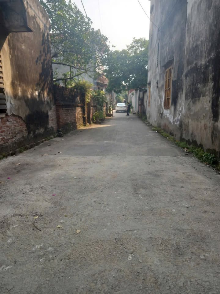 Đất nền Thôn Minh Khai, xã Đại Tập, Hưng Yên 88,5m² - Giá chỉ 1 tỷ, cơ hội đầu tư tuyệt vời!