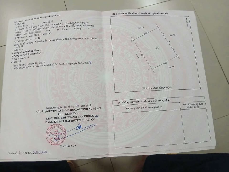 Đất Nghi Trường 195m² - Cơ hội chia lô đầu tư hấp dẫn!