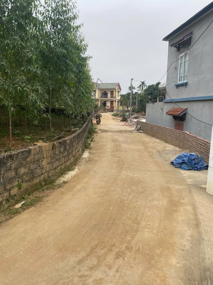 Đất nền Thanh Đình - Việt Trì 1130m² - Tiềm năng sinh lời cao!