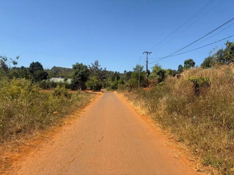 Đất thổ cư mặt tiền đường nhựa Thôn 2 Quảng Tân - 600m² chỉ 360 triệu - Cơ hội đầu tư tuyệt vời!