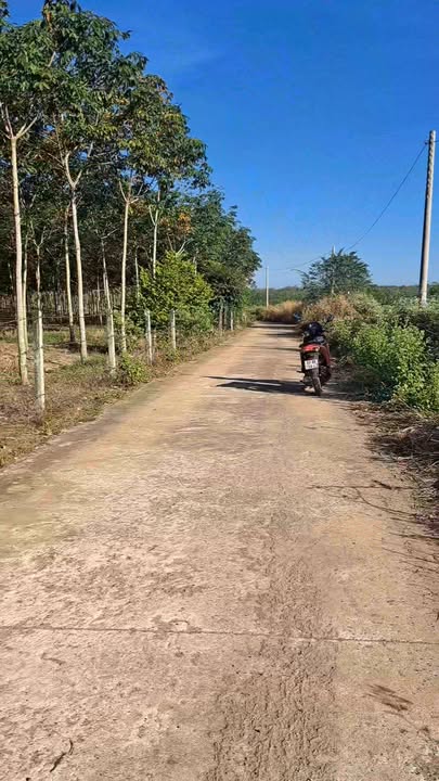 Đất nền Nha Bích, Chơn Thành 50m² giá 400 triệu - Cách trường học chỉ 200m!