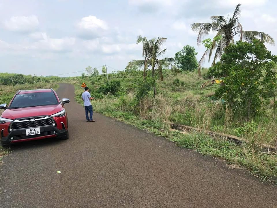 Đất thổ cư Lộc Điền, Lộc Khánh 68000m² - 2 mặt tiền đẹp, giá thỏa thuận!