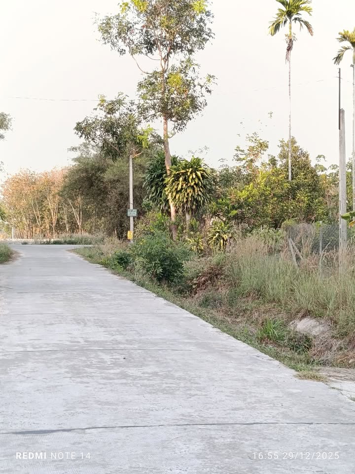 Đất thổ cư 1300m² Phường Minh Hưng - Giá tốt, pháp lý rõ ràng!