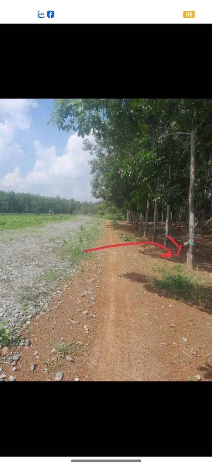 Đất thổ cư Lộc Thành, Lộc Ninh 50m² giá 3 tỷ - Pháp lý rõ ràng, cơ hội đầu tư hấp dẫn!