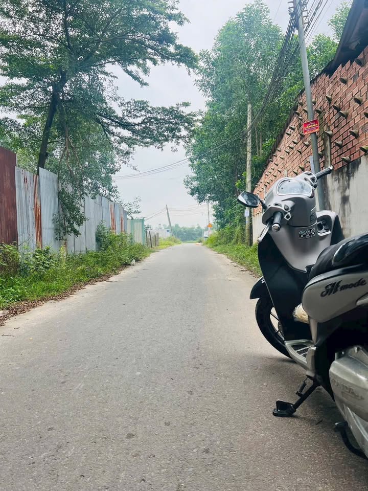 Đất nền Giang Điền 500m² giá 1.3 tỷ - Cơ hội đầu tư tuyệt vời!