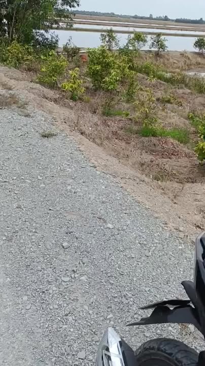 Đất lúa 8 mẫu xã Tân Long, Thủ Thừa, Long An - Chốt nhanh 1.75 tỷ!