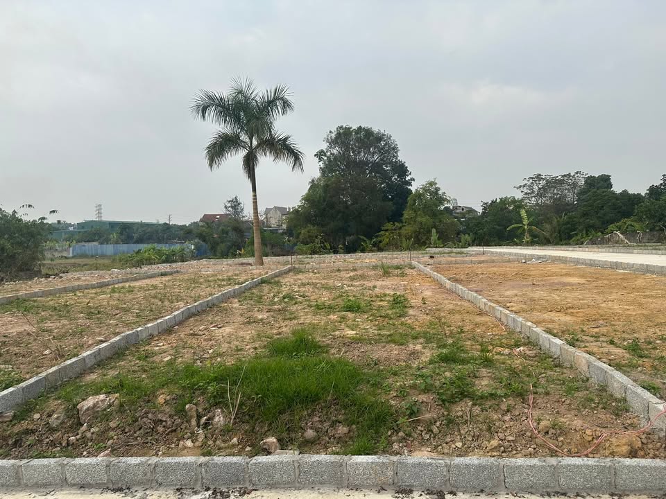 Đất thổ cư Bách Quang Sông Công 102m² giá thỏa thuận - Đầu tư sinh lời ngay!