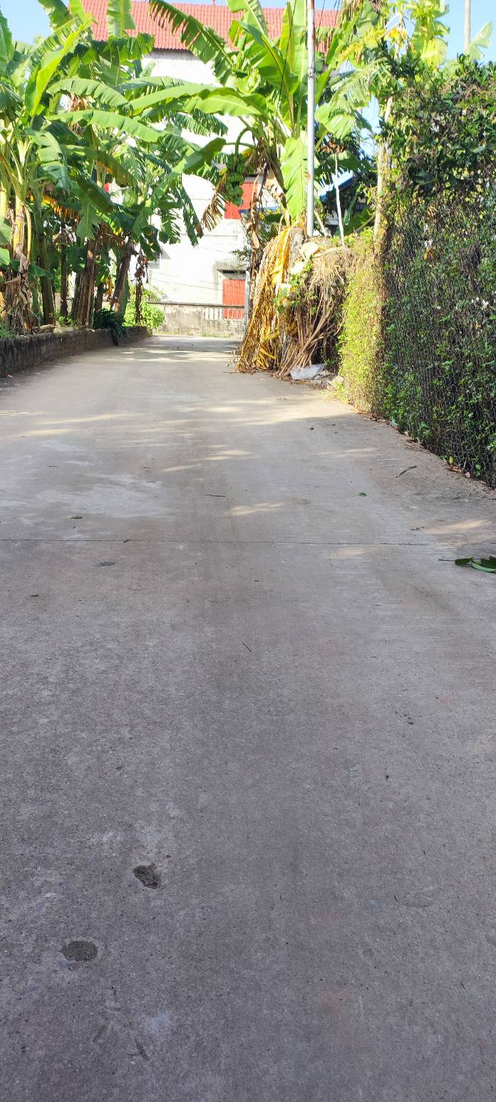 Đất thổ cư Tự Lạn, Việt Yên 300m² giá 1.1 tỷ - Đầu tư sinh lời hấp dẫn!