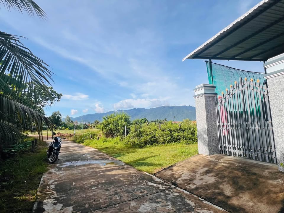 Đất nền Tân Định, Ninh Hòa 298m² giá chỉ 3,2 triệu - Đầu tư sinh lời ngay!