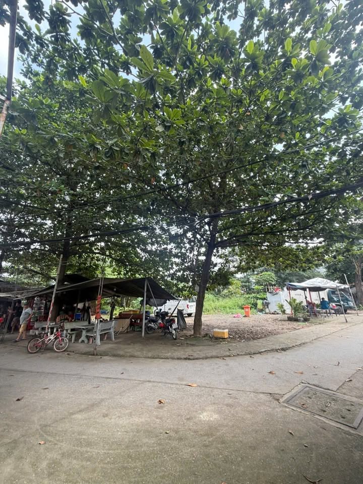 Đất thổ cư 1.490m² Quốc Lộ 1A, Tân Chánh Hiệp, Quận 12 - Cơ hội đầu tư tuyệt vời!