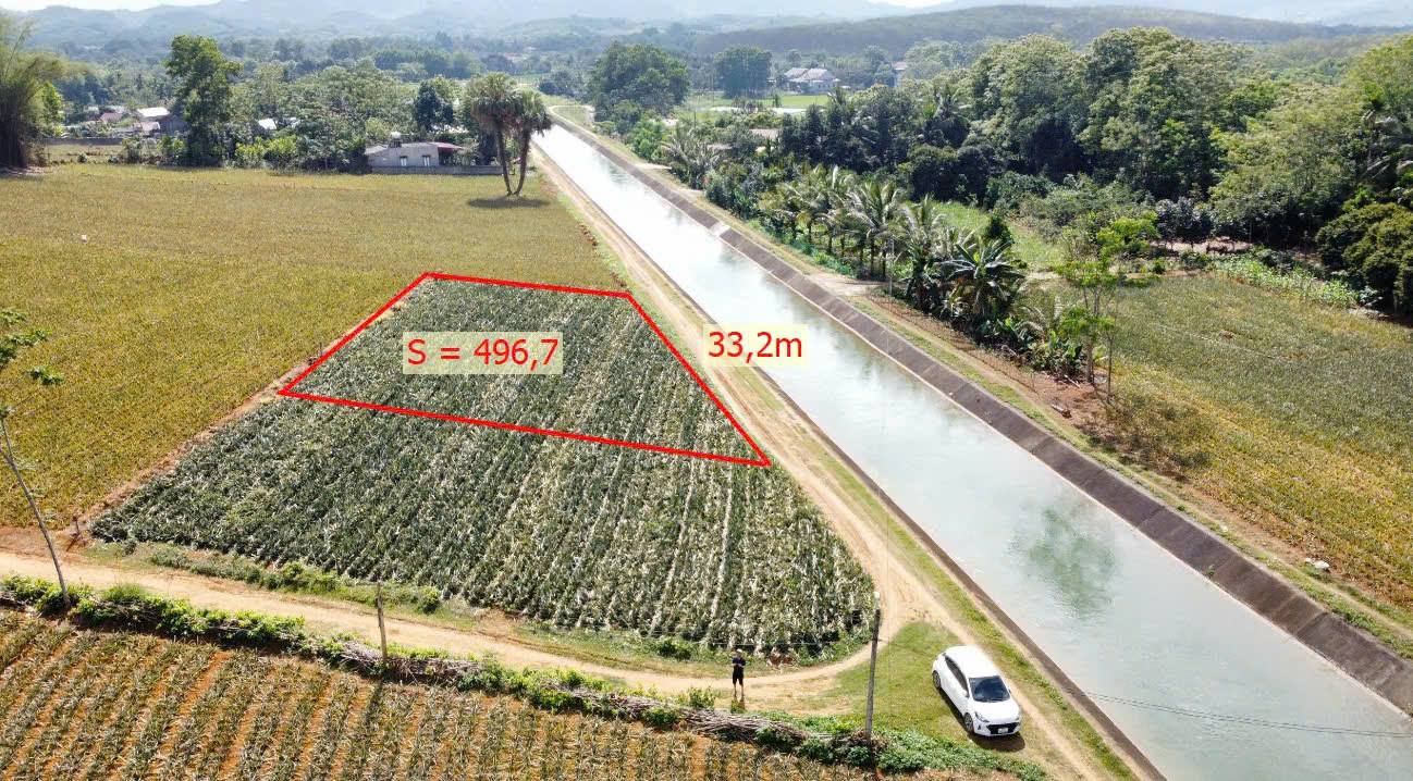 Đất Farm Minh Tiến Ngọc Lặc 1.100m² - Lô góc 2 mặt tiền, giá thỏa thuận!