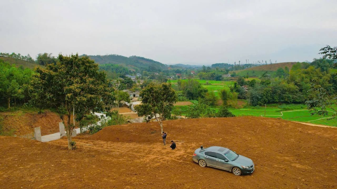 Đất nông nghiệp Cự Thắng 10.000m² giá 300 triệu - Cơ hội đầu tư tuyệt vời!