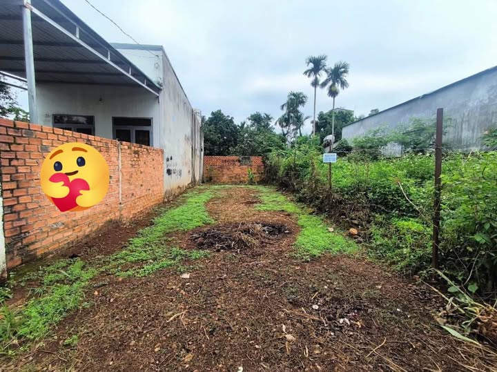 Đất nền đường 2A phường Tân An, 70m² giá 990 triệu - Đầu tư sinh lời ngay!