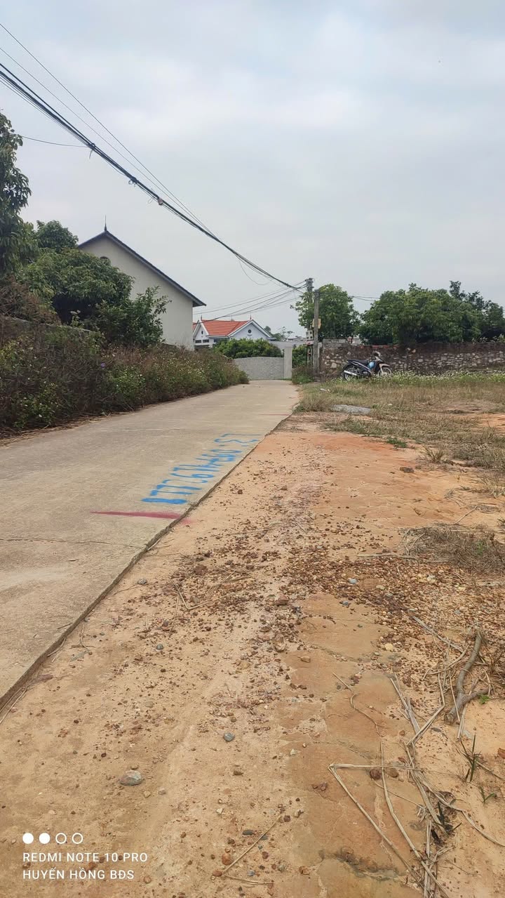 Đất nền Lục Nam 120m² giá 800 triệu - Cơ hội đầu tư hấp dẫn!