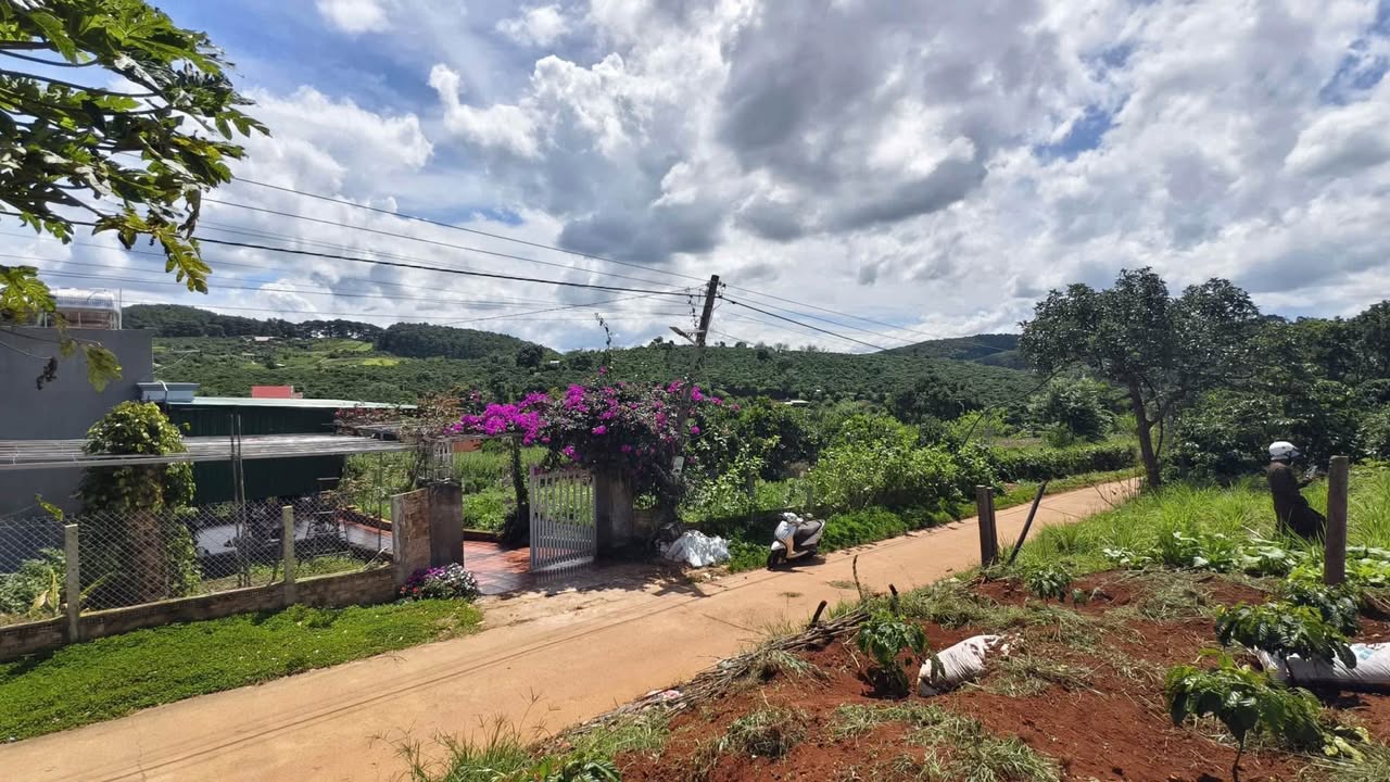 Đất nền Lâm Hà 1000m² giá 2.2 tỷ - View rừng thông tuyệt đẹp!