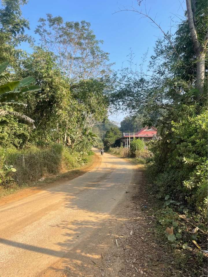 Đất thổ cư 350m² xã Phú Vinh, Tân Lạc chỉ 250 triệu - Cơ hội đầu tư hấp dẫn!