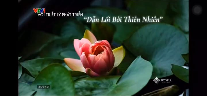 Dự án Utopia Villas & Resort Phú Thọ 200ha - Đầu tư nghỉ dưỡng sinh thái đẳng cấp!