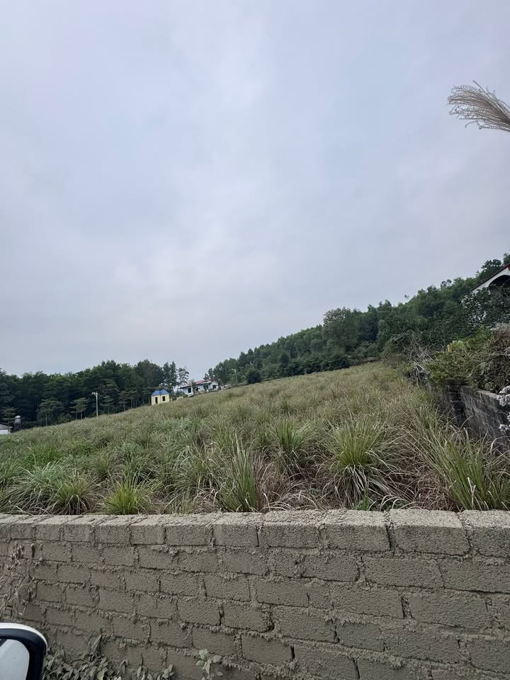 Đất nông trường 5000m² tại Hòa Sơn, Lương Sơn - Phù hợp làm kho xưởng!