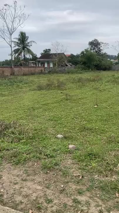 Đất thổ cư 1074m² tại Phú Thành, Lạc Thủy chỉ 3.452 tỷ - Mặt tiền gần 20m!