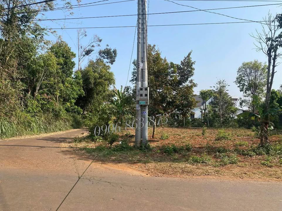 Đất thổ cư 210m² Hẻm 171 Nguyễn Thái Bình - Giá chỉ 2.45 tỷ, đầu tư sinh lời!