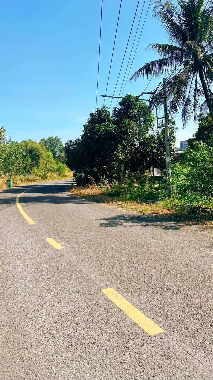 Đất nền 1128m² tại Bàu Bàng, Bình Dương - Mặt tiền đường DH619, Giá chỉ 2 tỷ!