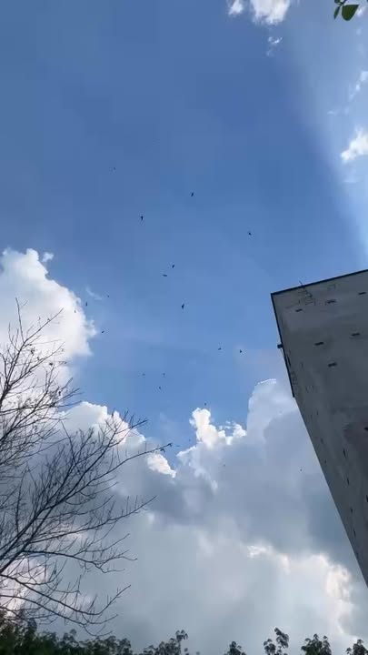 Đất nông nghiệp Dầu Tiếng Bình Dương 14,000m² giá 4.6 tỷ - Tiềm năng sinh lời cao!