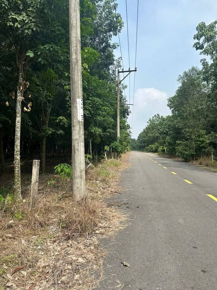 Đất 2 mặt tiền Lai Uyên Bàu Bàng 10.679m² giá chỉ 18 tỷ - Cơ hội đầu tư tuyệt vời!