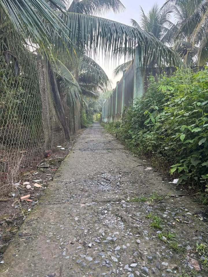 Đất nền phường Đạo Thạnh, Mỹ Tho 80m² giá 550 triệu - Cơ hội đầu tư hấp dẫn!