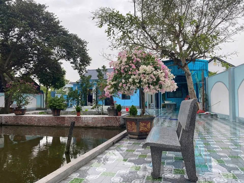 Nhà vườn kiên cố Quỳnh Trang, Quỳnh Phụ 360m² giá 1.5 tỷ - Sẵn sàng vào ở ngay!