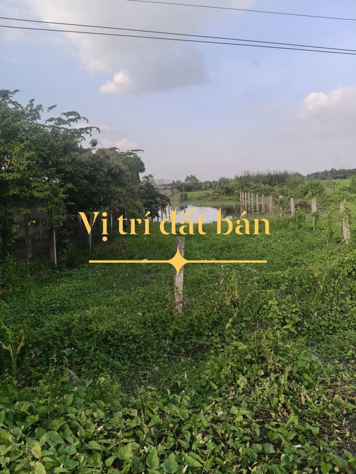 Đất nền 720m² Lộc Hòa, Long Hồ chỉ 2.4 tỷ - Đầu tư sinh lời ngay!