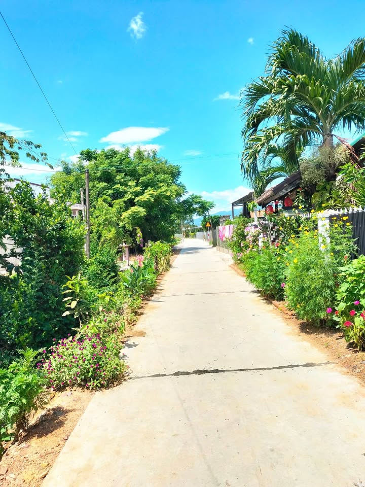 Đất thổ cư Bắc Ninh Hòa 23200m² giá 400 triệu - Cơ hội đầu tư tuyệt vời!