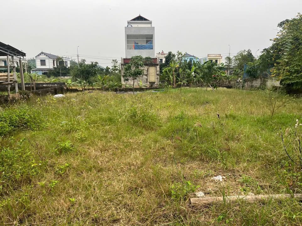 Lô đất 58m² tại phường Quảng Thành, Thanh Hóa giá 880 triệu - Cơ hội đầu tư cho gia đình tài chính thấp!