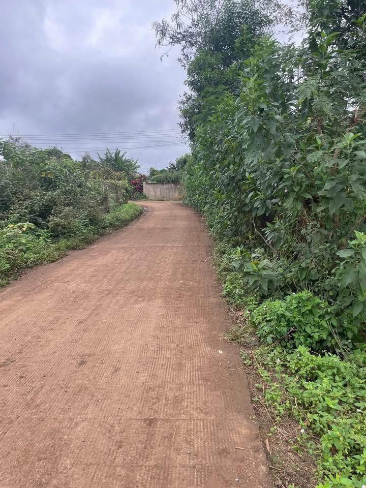 Đất nền 1800m² tại Ea Phê, Krông Pắc - Giá chỉ 289 triệu, cơ hội đầu tư hiếm có!