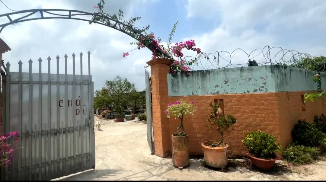 Đất Long Phước Vĩnh Long 1966m² giá 4 tỷ - Sổ đỏ chính chủ, tặng nhà cấp 4!