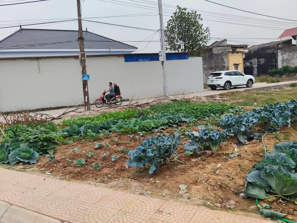 Đất thổ cư Minh Trí Sóc Sơn 90m² giá 2 tỷ - Mặt tiền rộng, kinh doanh sầm uất!