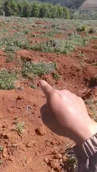 Đất nền Đắk R'Tih Tuy Đức 4.3ha giá 4.3 tỷ - Mặt tiền 110m đường nhựa