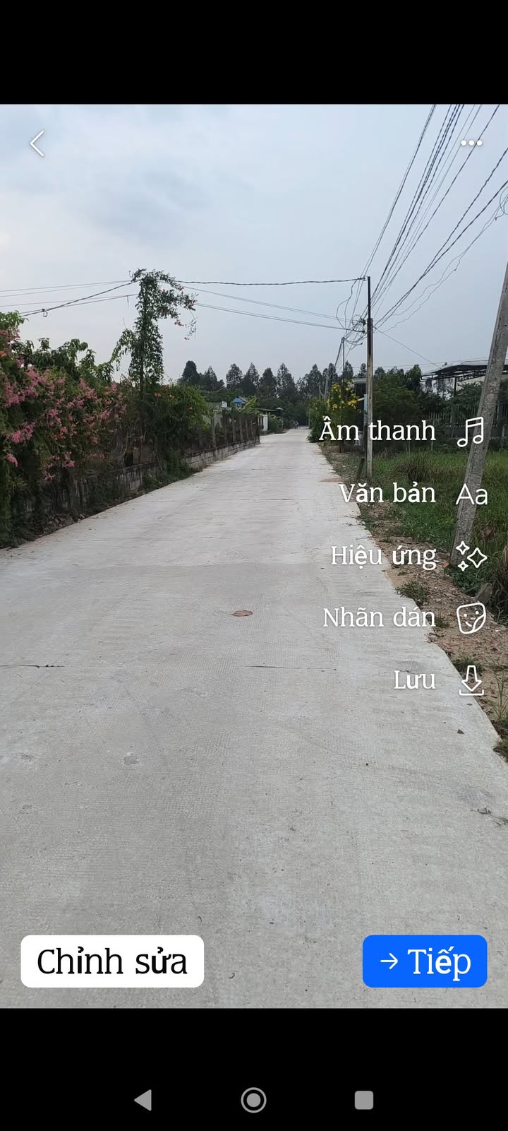 Đất thổ cư Tân Phú, Đức Hòa 150m² giá 1.3 tỷ - Cơ hội đầu tư tuyệt vời!