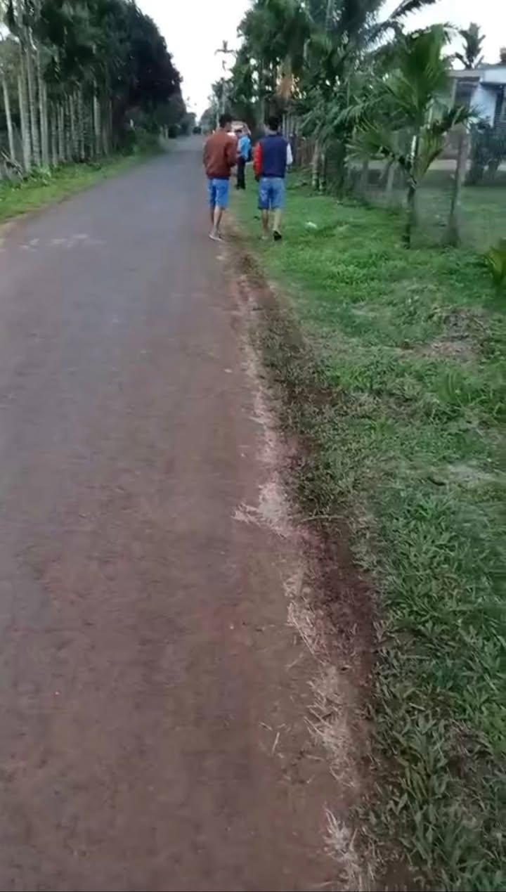 Đất thổ cư mặt tiền đường nhựa thôn 4 Ea Ngai 500m² giá 1.55 tỷ - Cơ hội đầu tư sinh lời!