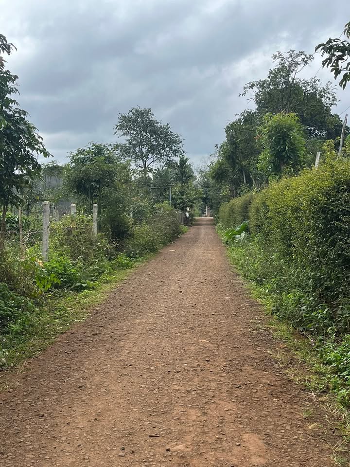 Đất nền Cư M'gar 230m² giá 260 triệu - Cơ hội đầu tư không thể bỏ qua!