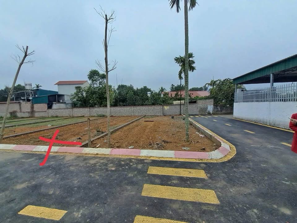 Đất nền Hạ Bằng, Quốc Oai 79.5m² giá thỏa thuận - Sổ đỏ chính chủ, đường ô tô tránh!