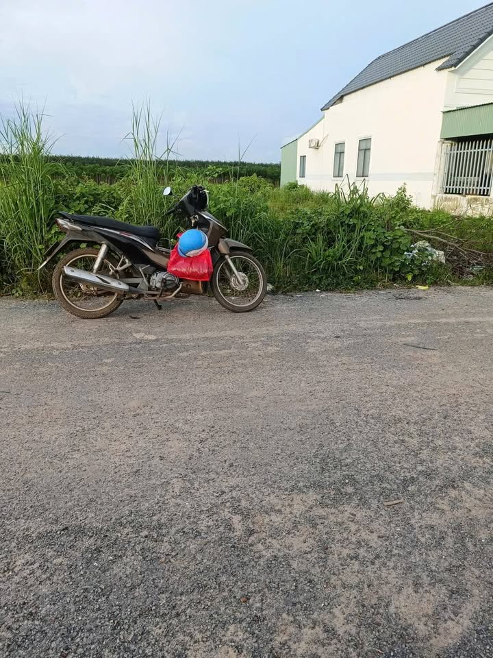 Đất thổ cư mặt tiền nhựa Tân Hiệp, Tân Châu 1160m² giá 11.6 tỷ - Đầu tư sinh lời ngay!