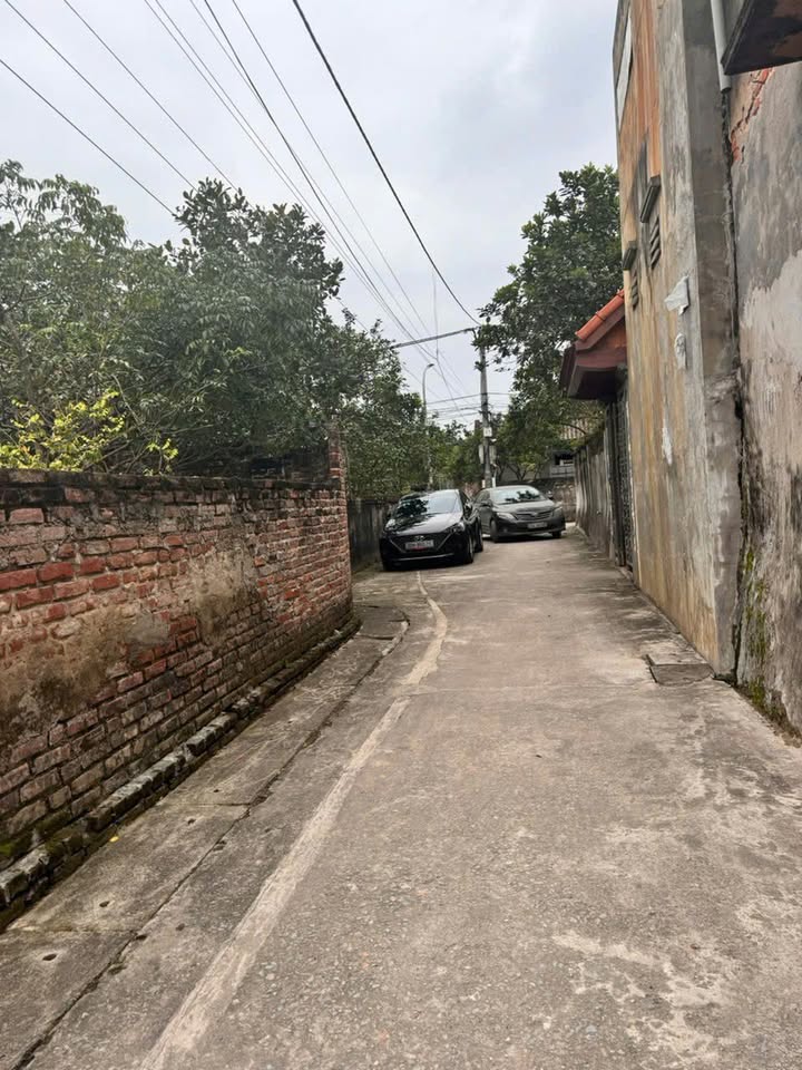 Đất nền Tự Nhiên, Thường Tín 169m² giá 5.9 tỷ - Đường thông ô tô vào tận nơi!