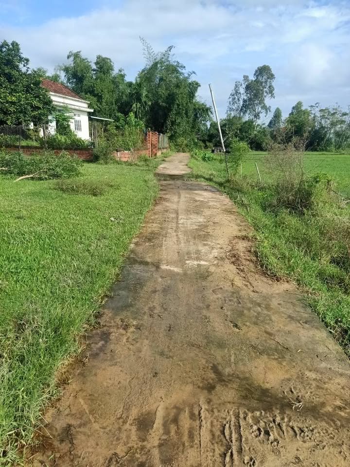 Đất nền Bỉnh Đức, Tây Vinh, 400m² giá xả lỗ - Cơ hội đầu tư tuyệt vời!