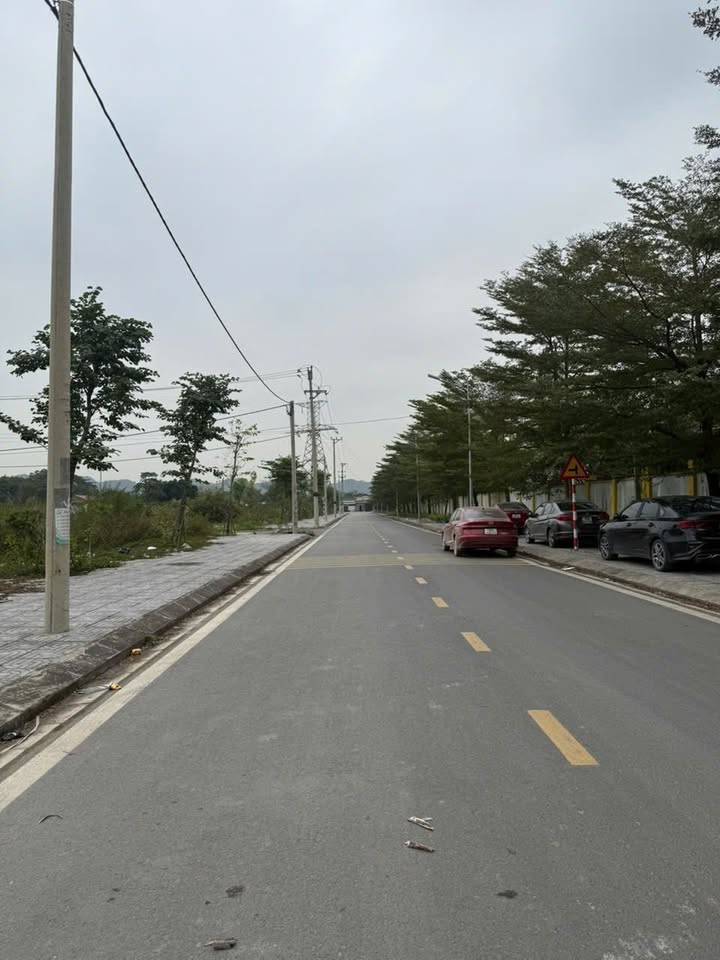 Đất nền Quang Sơn, Tam Điệp, Ninh Bình 190m² - Vị trí đẹp, sổ hồng chính chủ!