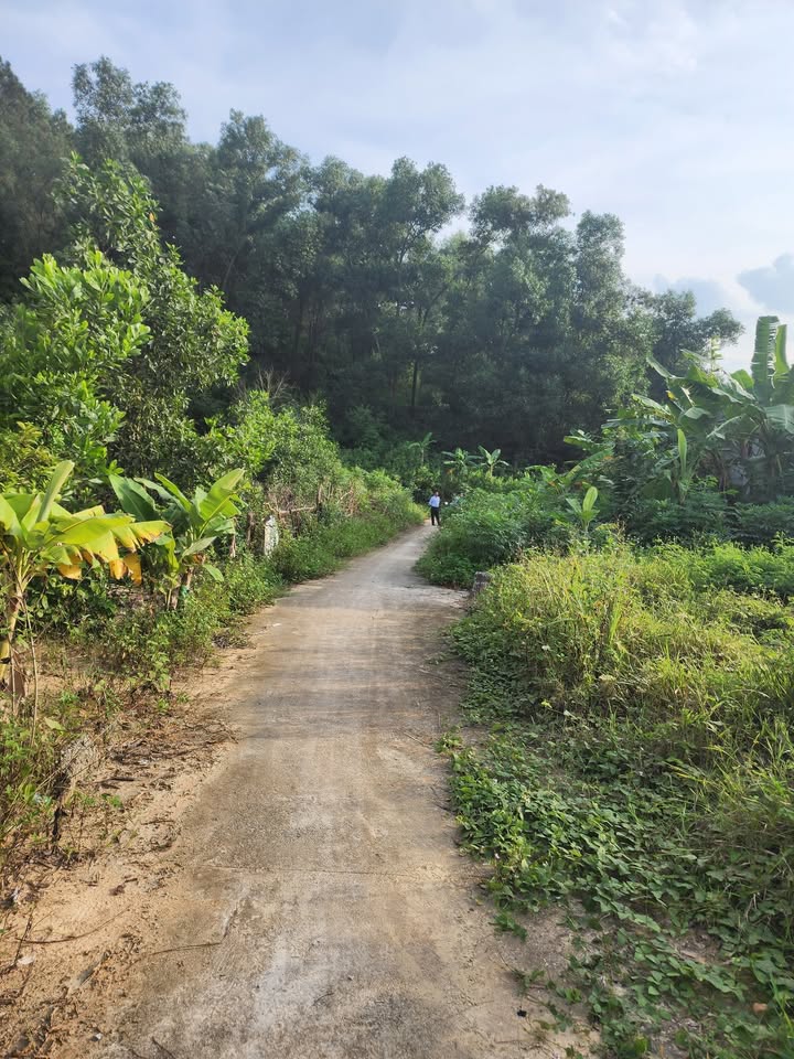 Đất nền Sơn Đông Bắc Giang 73m² giá 1.6 tỷ - Lô áp góc view hồ tuyệt đẹp!